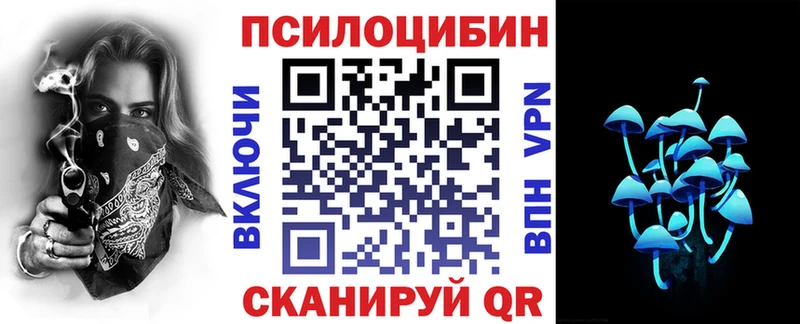кракен зеркало купить цена Калининград Псилоцибиновые грибы Psilocybine cubensis