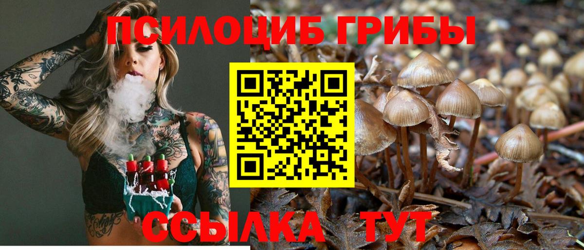 Галлюциногенные грибы Cubensis  Галлюциногенные грибы Magic Shrooms  Вход с VPN  Калининград 