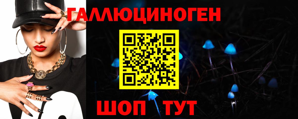 Галлюциногенные грибы мицелий Калининград